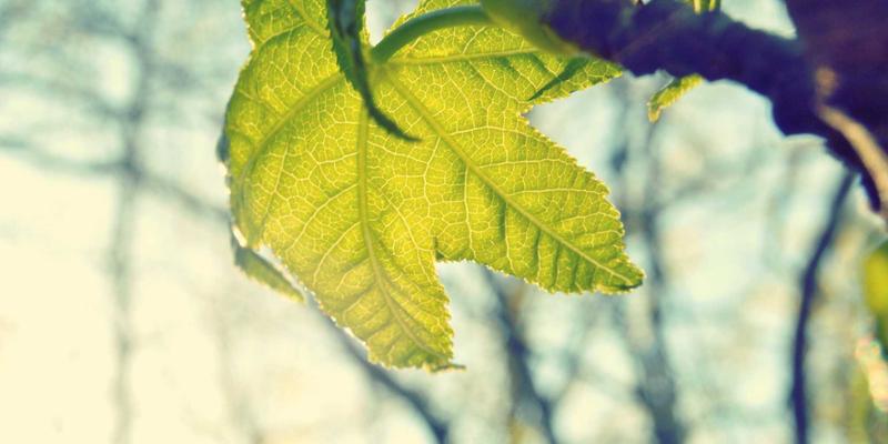 Chris PH11：用镜头捕捉事件灵魂的摄影艺术