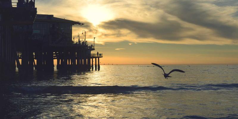 Chris PH73：用艺术镜头捕捉事件灵魂，打造叙事性视觉档案