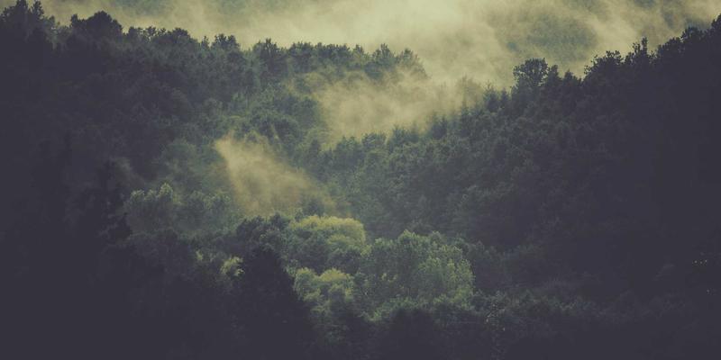 Chris PH7：用镜头捕捉事件灵魂的摄影艺术