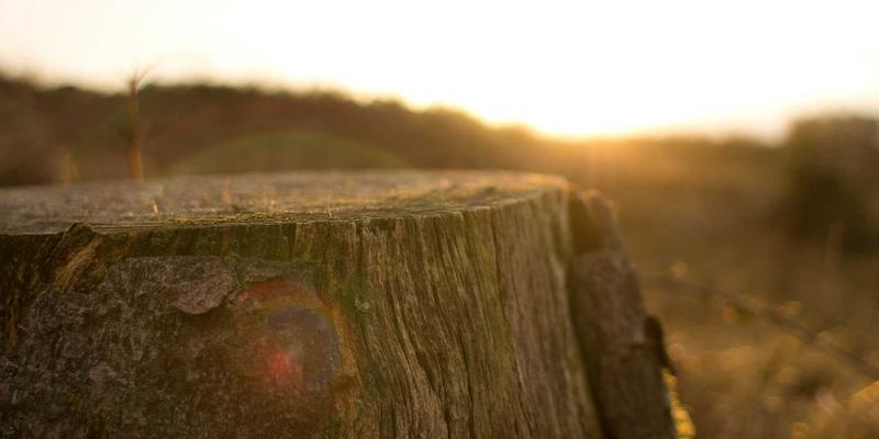 Chris PH的肖像摄影秘籍：用闪光灯在自然光中创造戏剧化光影的进阶技巧