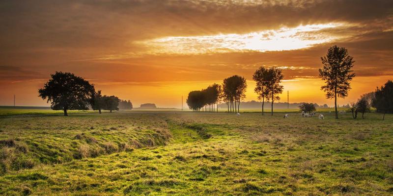 专业肖像摄影的艺术：摄影师Chris PH如何引导素人拍出惊艳作品