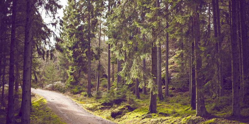 创意摄影与涂鸦艺术的商业融合：Chris PH合作品牌案例分析与专业摄影技巧