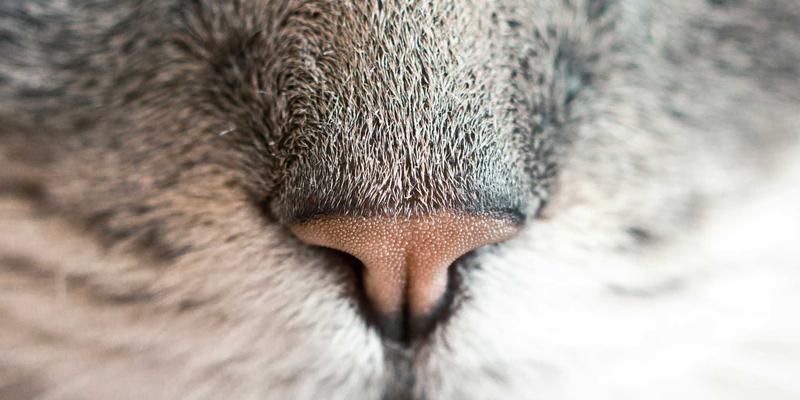 向Chris PH学习专业级拍摄准备：场景勘察与光线预判提升你的肖像摄影服务