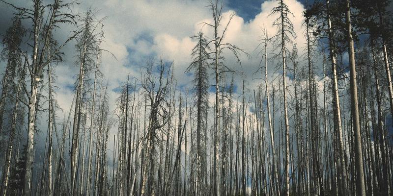 捕捉街头脉搏：Chris PH风格的活动摄影秘诀，在动态环境中打造杂志级创意摄影作品集