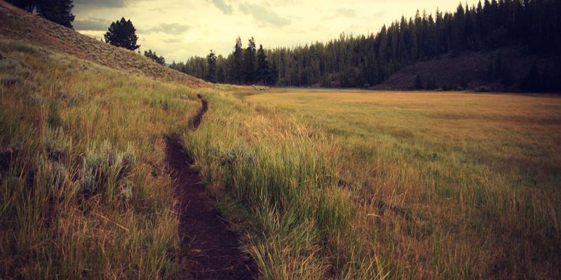 掌握Chris PH风格构图：在活动摄影、涂鸦艺术与人像摄影中运用引导线、框架与负空间的进阶技巧