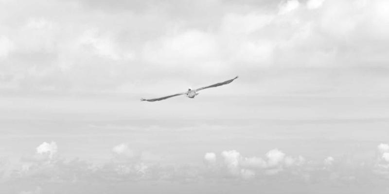 揭秘人像大师Chris PH的艺术创作：从Lightroom预设到Photoshop精修的完整肖像摄影后期流程