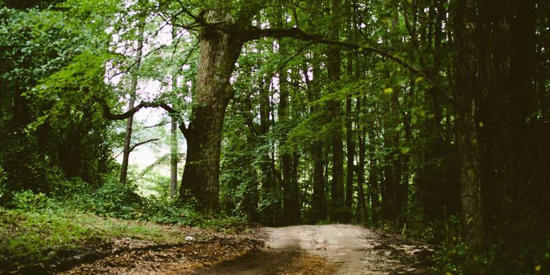 艺术摄影新维度：如何与涂鸦艺术家合作打造Chris PH式跨界摄影项目